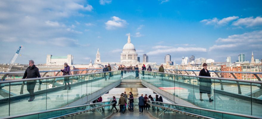 What are watchdogs up to during COVID-19?