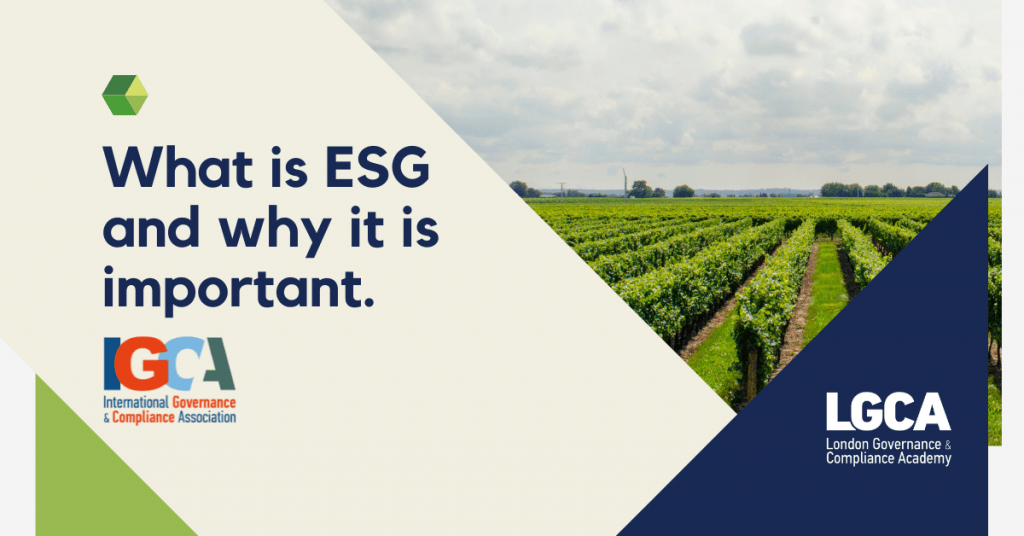 </noscript></noscript>What is ESG & Why It’s Important