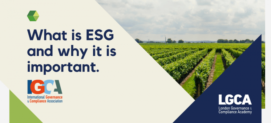 What is ESG & Why It’s Important