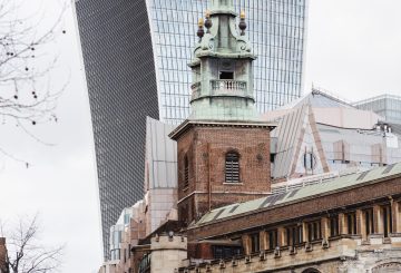 Our Year in Review: Partnerships, New Courses & Unique Opportunities