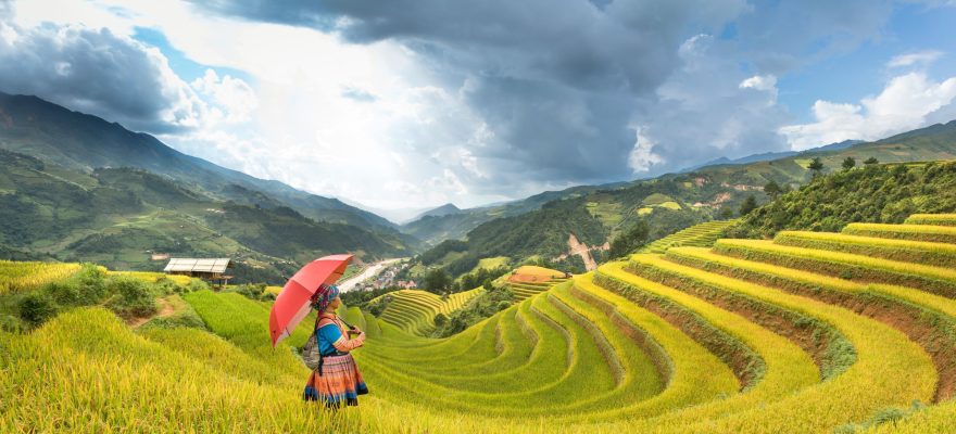 An Assessment of Financial Crime and Anti-Money Laundering Efforts in Asia and Africa