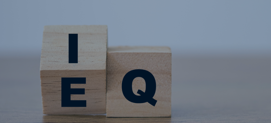 Emotional Intelligence (EQ) The Missing Link for Professional Success